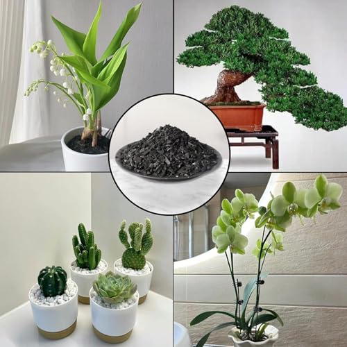Image of Horticultural Activated Charcoal 450g for Orchid, Succulent, Adenium, Terrarium Plant & Potting Mix | Natural Soil Filter+Long Burning Coal for Havan, Barbeque Cooking & Pooja Dhoop (Pack of 1)
