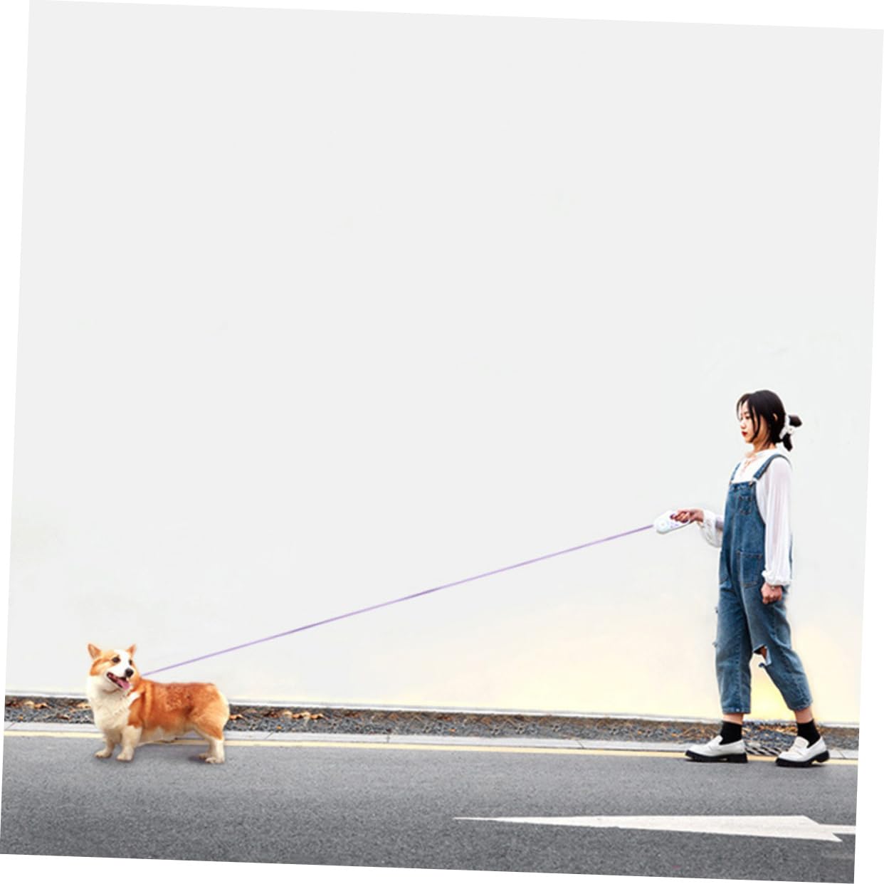 UKCOCO Correa Retráctil Automática para Perros Correa Led para Mascotas para Mascotas para Pasear Perros La Noche