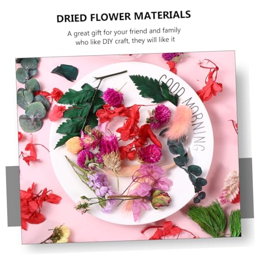 Set de Flores Secas DIY 10 Flores Naturales para Manualidades miniatura 5