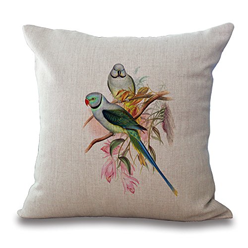 Protector de almohada de lino cuadrado Cover