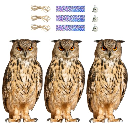 merrytime 悯 h 悯ObY Q΍ObY ݂艺 悯 JX x_ ʎ ƒ؉  Q b tNE 3Zbg