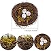 FBIRDY Artificial Birds Nest with Eggs Large Decorative Rattan Birds Nest 4.7Inch for Spring Christmas Tree Ornaments Easter Decor Crafts Patio Garden Home Decor (2 Sets)