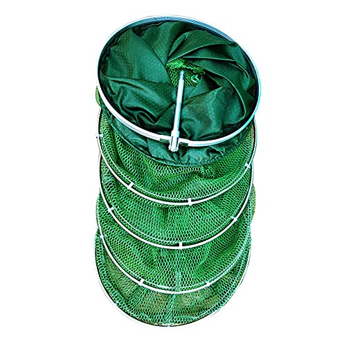 Demiawaking Nassa da Pesca Pieghevole Gabbia per