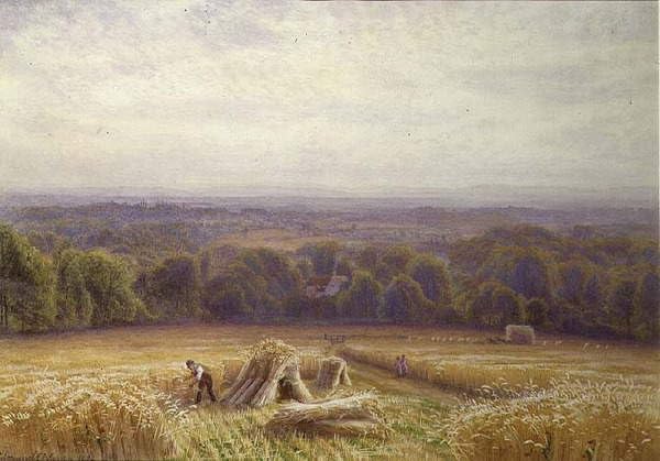 Tableau Récolte par Edmund George Warren - Impression d'Art Vintage pour Chambre 60x90cm