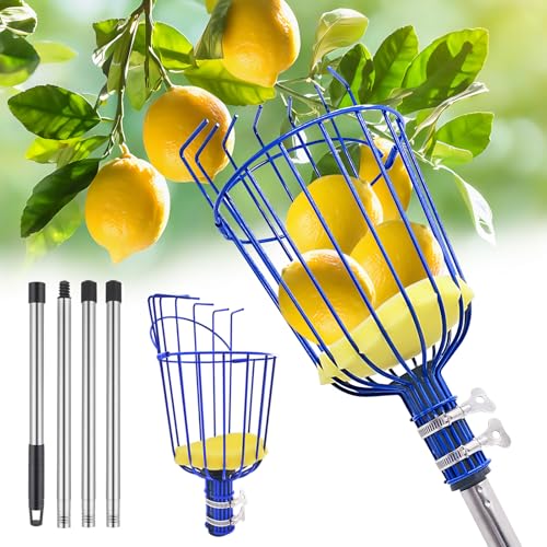 Herramienta telescópica para recolectar frutas RAIN SPIRIT 6FT miniatura 1