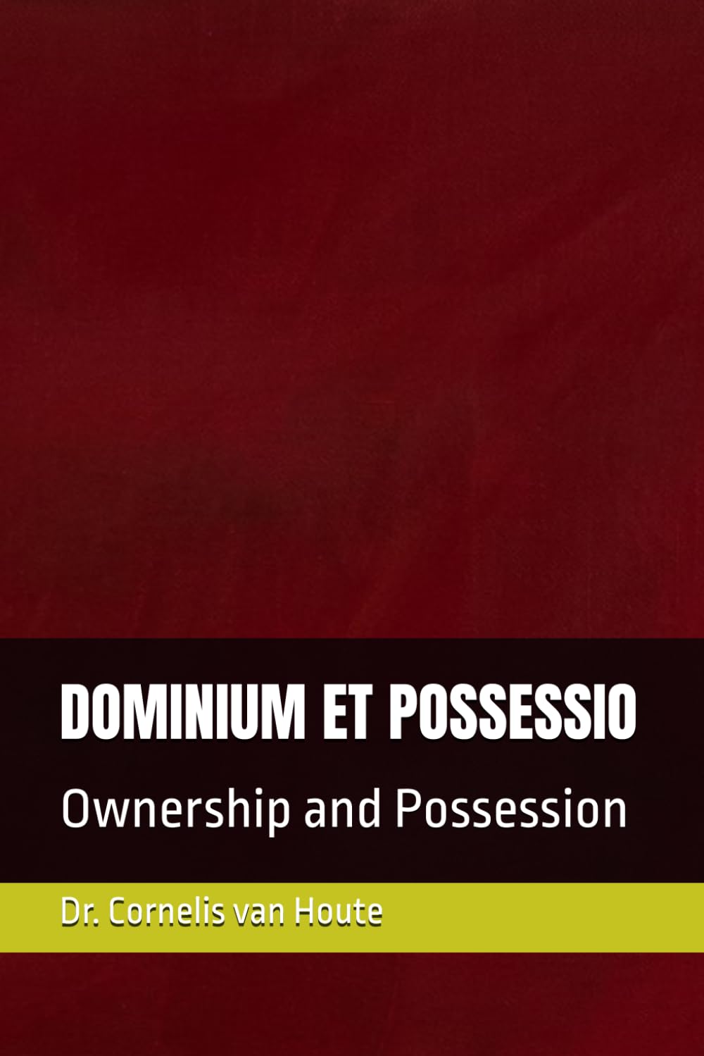 DOMINIUM ET POSSESSIO: Ownership and Possession (Roman Law Series)
