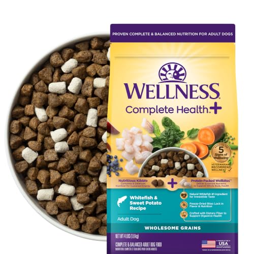 Wellness Complete Health+ Adult Dry Dog Food with Freeze Dried Wellbites, Wholesome Grain Kibble+, Natural, Chicken Free, Whitefish and Sweet Potato Recipe, 4 lb Bag