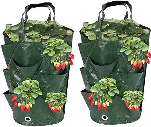 2 Pack Hanging Planter Grow Bag Plant Pouch Strong Fabric Pots Plant Grow Bag for Planting Pouch Tomato Strawberry Flower Herb 35x20cm
