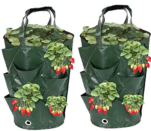 2 Pack Hanging Planter Grow Bag Plant Pouch Strong Fabric Pots Plant Grow Bag for Planting Pouch Tomato Strawberry Flower Herb 35x20cm
