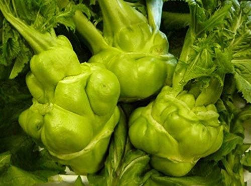 Amazon 増田採種場 ちからこぶザーサイ コート種子約0粒 野菜