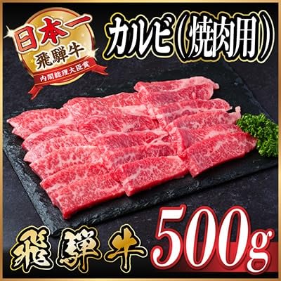 レビューキャンペーン実施中!飛騨牛 厳選カルビ(焼肉・BBQ用)500g A4〜A5等級(冷凍便)