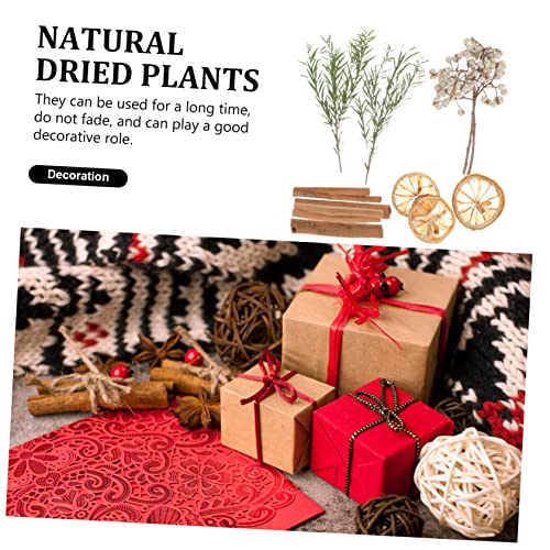Kit de Manualidades con Resina y Flores Secas miniatura 5