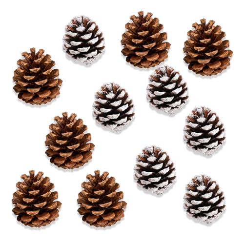 ElevaPulse Weihnachtsdeko Tannenzapfen 50 Stück, ca. 2-3cm Natur...