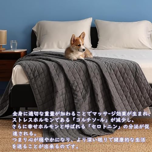 Image of YnM 12lbs Weighted Blanket for Adults, Breathable Heavy Bed Throw Blanket with Cooling Glass Beads for All Season Use, Ideal for ~110lbs (48x72 Inches, Twin /Full, Dark Grey)