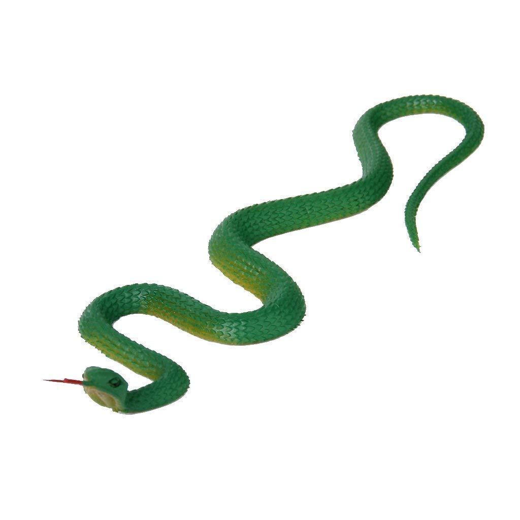 22CM Gummisimulationsschlange grnMulti Usage Gummischlange lebensechte knstliche  Schlange langlebig und ntzlich : Amazon.de: Spielzeug