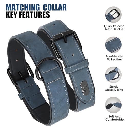 Image of Didog PU Leather Dog Collar and Leash Set, Soft Padded, Blue, Neck 18-22 inch