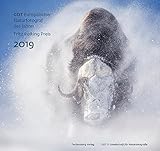 Europäischer Naturfotograf des Jahres und Fritz Pölking Preis 2019 - GDT (Gesellschaft für Naturfotografie) e.V. 