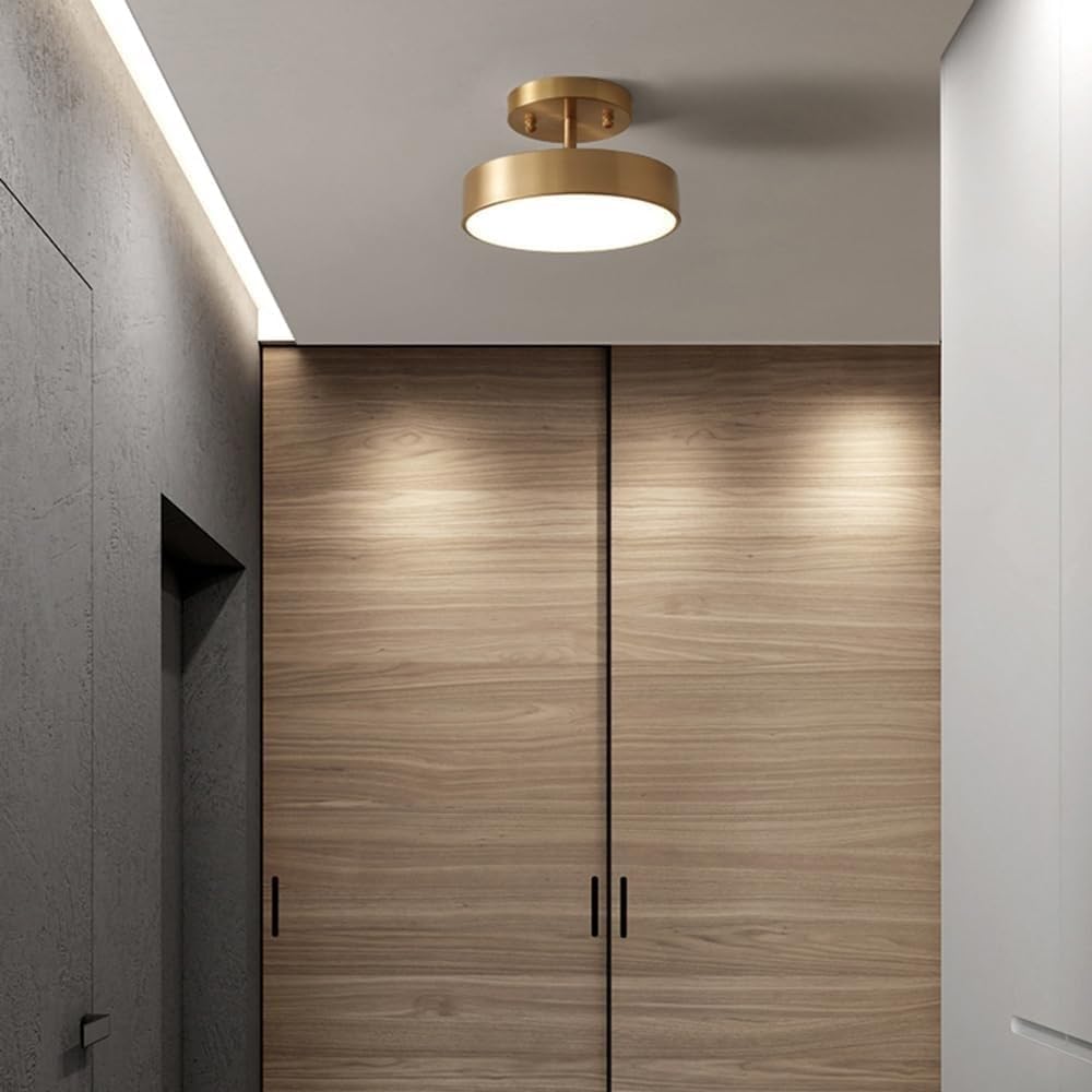 Mid Century Light Fixtures Flush Mount Ceiling L Nordic Led Ceiling Lamp Indoor Lighting Home Aisle Balcony Corridor Entrance Cloakroom Living Room Decoration Ceiling Lamp, Three-Color Dimmable Ceilin