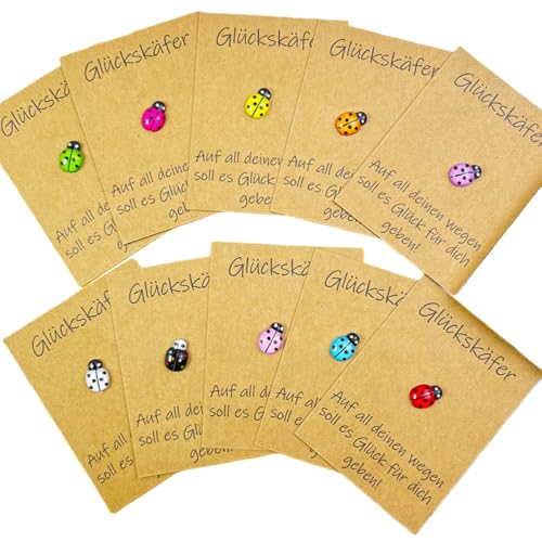 CCUUHJ Glückskäfer Trostkarten Set 10 Stück Handgefertigte Kraftpapier Grußkarten mit Marienkäfer 8x6 cm Mini Aufmunterungskarten für Geschenke und Kleine Überraschungen (Mehrfarbig)