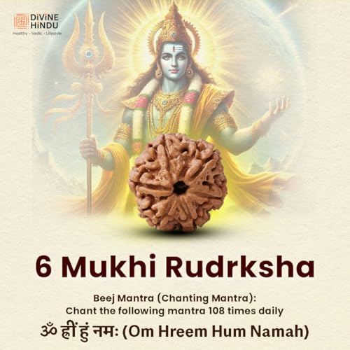 Image of Divine Hindu Original 6 Mukhi (Six Face) Indonesia Rudraksha | Chhe Mukhi Rudraksh Bead for Meditation, Protection & Spiritual Growth | Natural Rudraksha for Men & Women | Prayer Bead for Success