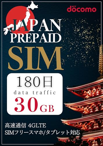 vyChsim hR 180 30GB simJ[h docomo 4G/LTE { f[^ʐMp e simt[[Ή 3in1(W/}CN/im }`Ή) st }jAt ST|[g T|[gL _sv si