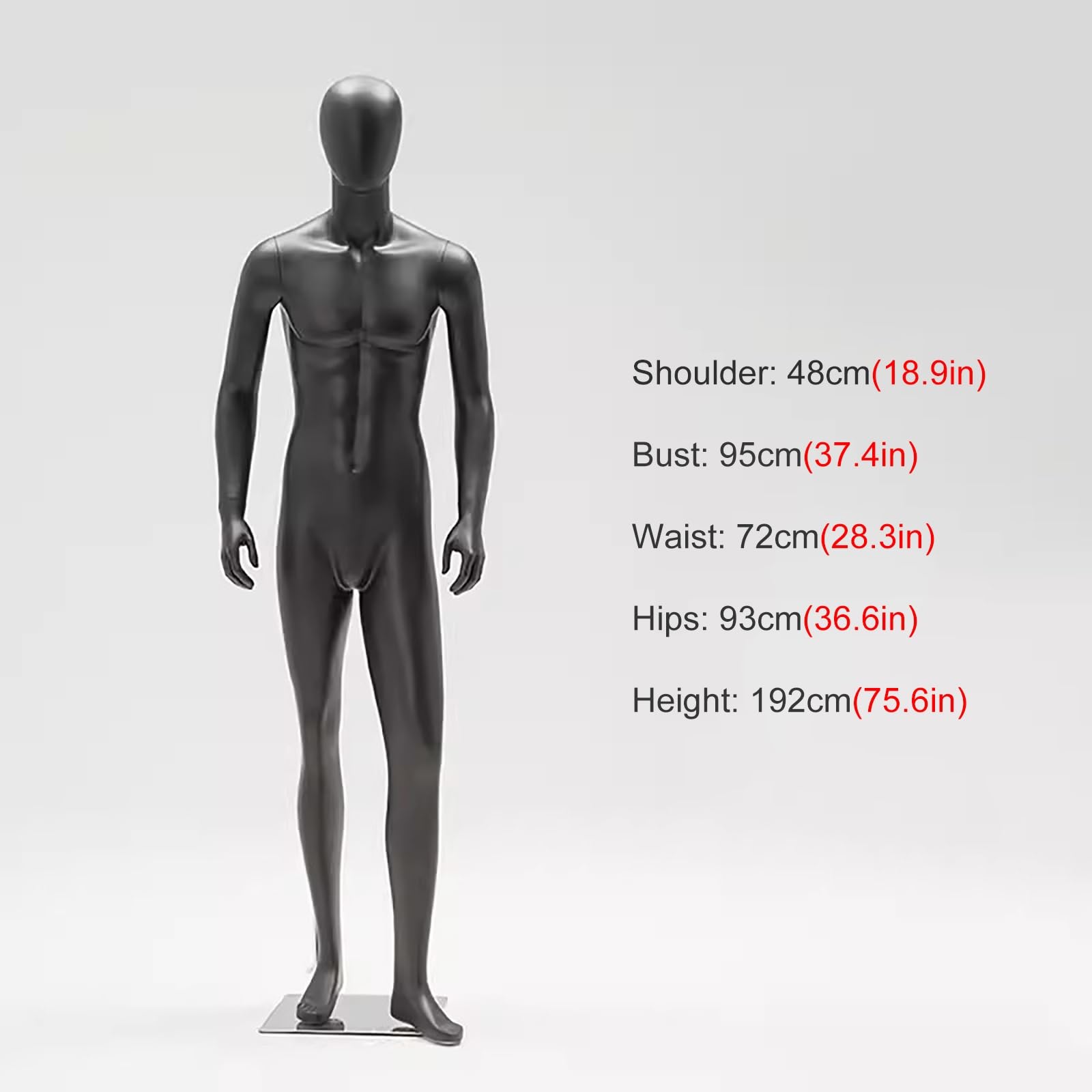 Amazon.co.jp: 男性トルソー マネキン ドレスフォーム トルソボディ