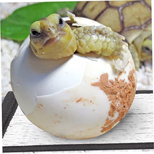 3 pzas Almohadilla térmica para reptiles ligera y compacta miniatura 2