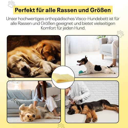 Best For Pets Orthopädisches Hundebett | Hundebett Waschbar | Viskoelastisches Hunde Bett | Orthopädisches Hundekissen | Memory Foam Matratze | | Faltbares Hunde Bett (85x65x4)