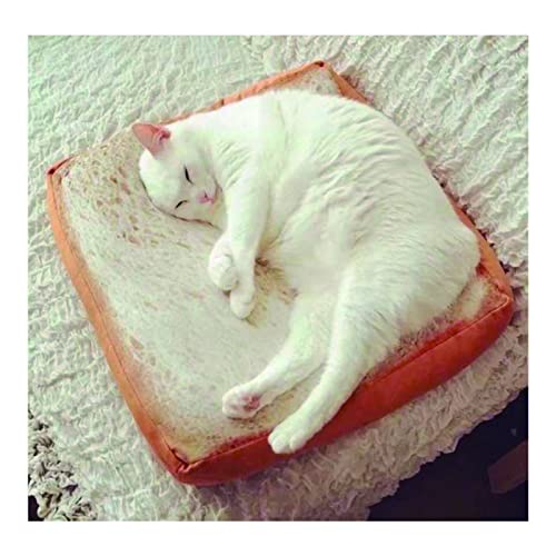 L[g Hp NbV tANbV  ʂ ObY ֎q V[gNbV ֎q ֎q CX   ֎q ԂƂ KɂȂȂ Sn m ӂӂ  (60cm×60cm×7cm)