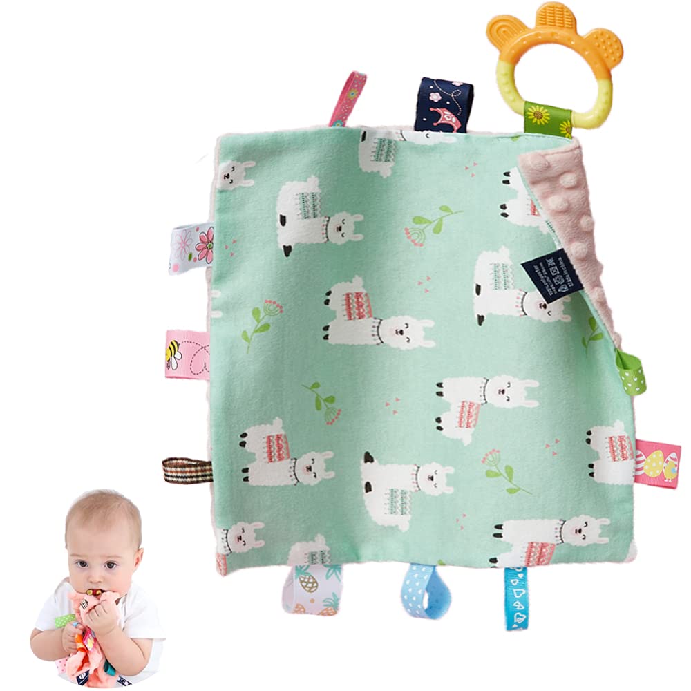 HECCEI Baby Tags Security Blankets – Baby Soothing Plush Blanket with Colorful Tags, Square Sensory Toys, 10 x 10 inches, for 3-12 Months Babies