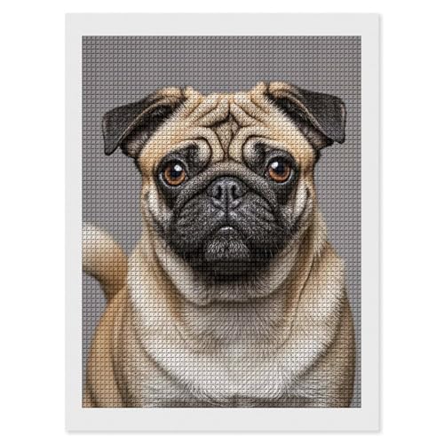 Kit de peinture diamant 5D carré pour adultes débutants 30x40 cm