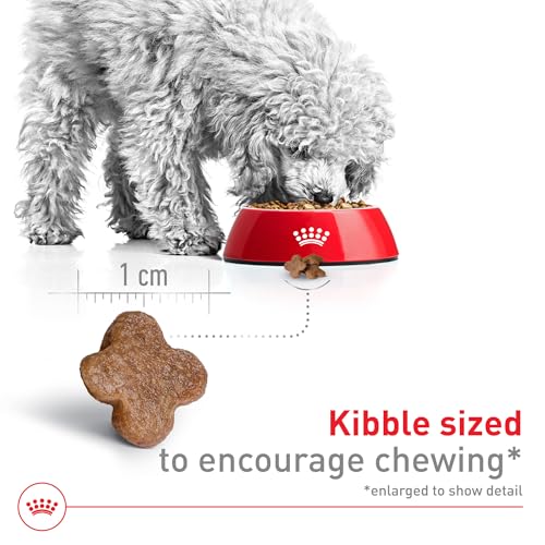 La Mejor Lista de Royal canin para comprar hoy. 27 Imagen adicional