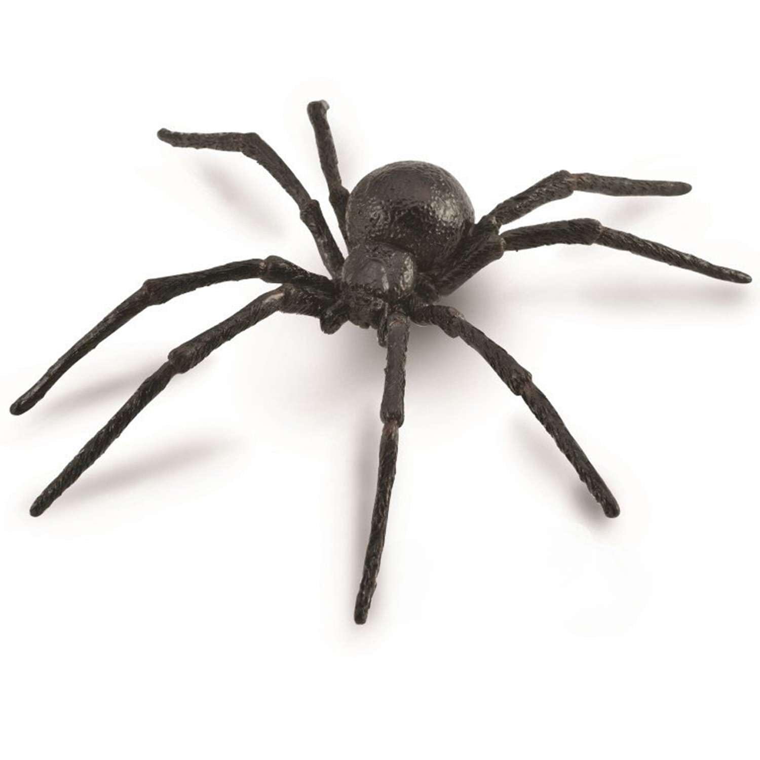 Amazon.co.jp: COLLECTA 昆虫フィギュア クロゴケグモ 88884 : おもちゃ