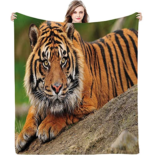 Winter Blankets, Tiger Crouching on Rock Beautiful Nature Photo, Keep...