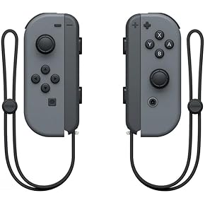 任天堂switch＋ソフト＋コントローラー２本 5280→4980更に5%OFF Switch コントローラー 2個セット Nintendo