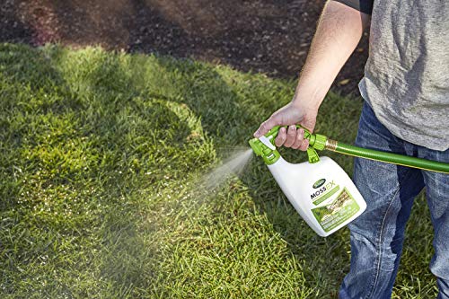 Scotts 3300210 Mossex 3-In-1 Ready-Spray, Moss Killer thumb #6