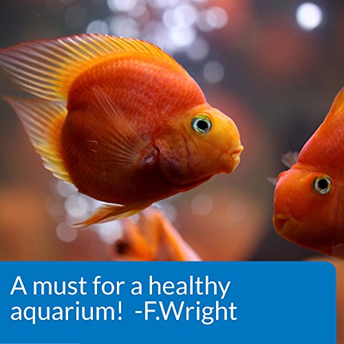 API AQUARIUM SALT Freshwater Aquarium Salt 50-Pound Box - Image 8