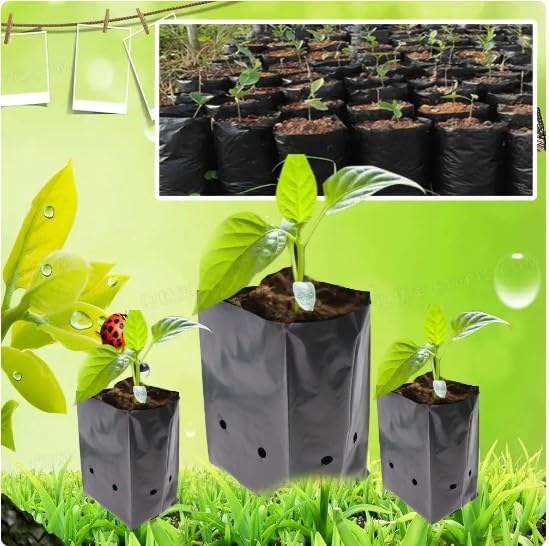 Image of Agritech Black Nursery Cover /Plant Grow Bag - 250 Nos (8x12, 250)