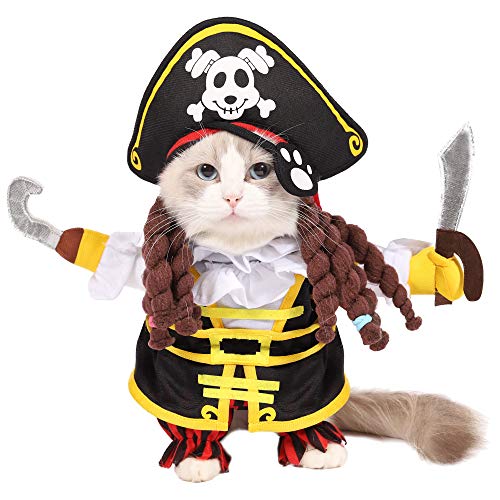 Best Cat Halloween Costumes for Your Spooky Kitty!