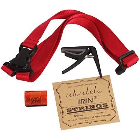 Dilwe Ukulele Accessories Kit 4 in 1 Set Cover
