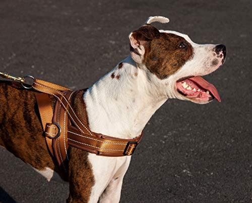 Pet Tribe pt58828u00a0Arnés Tender, Bronce/Marrón