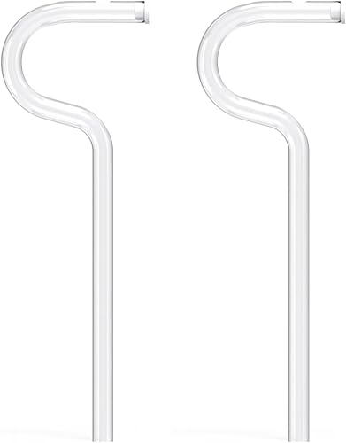 Giozoc Paja de vidrio reutilizable antiarrugas, diseño estilo flauta, popote de vidrio reutilizable, 2 popotes de labios para arrugas, transparente