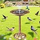 AISITIN Vogeltränke mit 3,5W Solar Springbrunnen, Futterplatz,Garten,Balkon Dekoration, Vogelbecken Vogel Futterstelle Tränke Bad für Balkon Terrasse Gartendeko Vogelbecken Bronzen Kunststoff Bronze