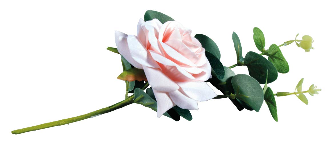 Rayher Rose Pick with Eucalyptus, Pale-Pink, 28cm
