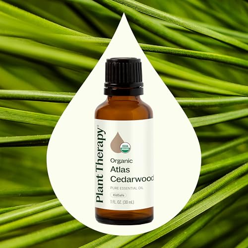 Aceite Esencial Orgánico Atlas Cedarwood 30 mL miniatura 3