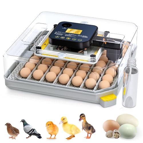 Besly 48 Egg Incubator for Hatching with Automatic Egg Turning and Humidity Control, Egg Candler, Poultry Egg Incubator for Chicken, Ducks, Goose, Pigeon, Quail, Ideal for Farm, Classroom, Home