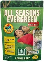 All Seasons Evergreen Grass Seeds 100g | Fast Germination Lawn Grass Seed | Year-Round Green Lawn Seeds for Garden, Yard & Landscaping | Easy Grow Turf Grass Seeds