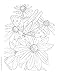 Creative Haven Butterfly Gardens Coloring Book; A Journey through Nature For Stress Relief and Relaxation (Adult Coloring Books: Insects)