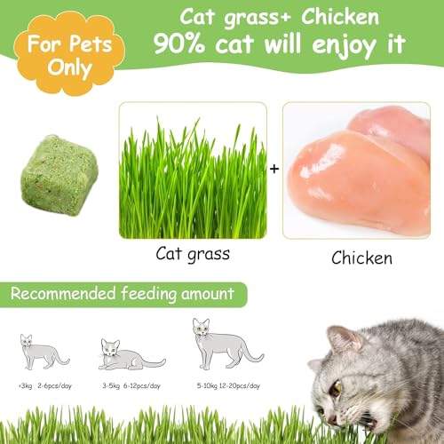 HavenJanny 60g Cat Grass Treats for Cats, Freezed Drying Cat Grass Teething Stick Snacks for Kitty, Edible Cats Chew Toys for Teeth Cleaning and Hairball Removal