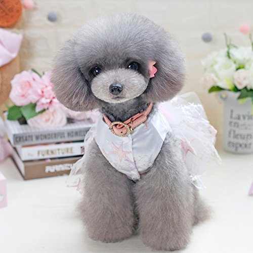 SMALLLEE_LUCKY_STORE Kleid für kleine Hunde, Hochzeitskleid, Brautjungfer, romantisches Tutu, für kleine Hunde, Chihuahua-Kleidung, Kostüme für Mädchen – Weiß, S